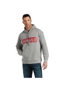 Ariat Basic Hoodie Sweatshirt Med Heather Raised Orange Stri | FJVOCP-053