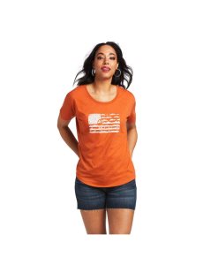 Ariat Desert Flag T-Shirt Adobe Heather | XFAWBS-319