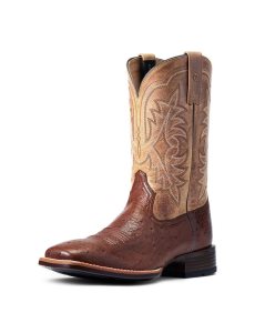 Ariat Night Life Ultra Western Boot Antique Tabac Sq Ostrich | CZQGVJ-529