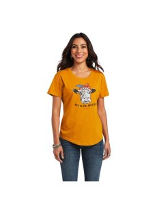 Ariat Not in the Mood T-Shirt Buckhorn Heather | QLDORE-389