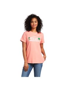 Ariat Rebar Cotton Strong Farm Graphic T-Shirt Summer Melon | BNWXKM-037