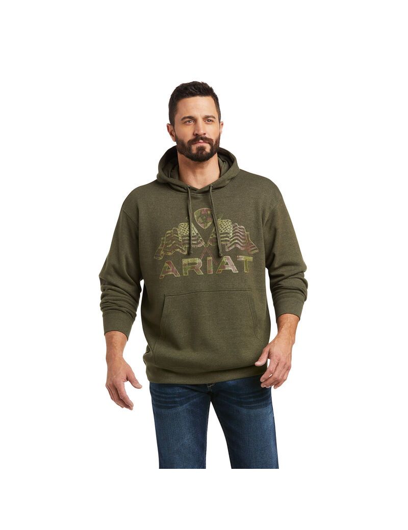 Ariat Basic Hoodie Sweatshirt Brine Olive Double Flag | FRUINY-315