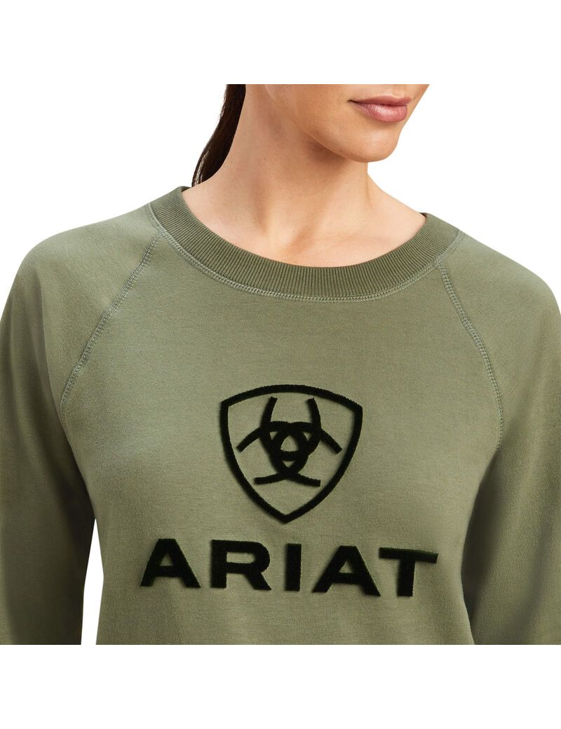 Ariat Benicia Sweatshirt Four Leaf Clover | YXOVAI-173