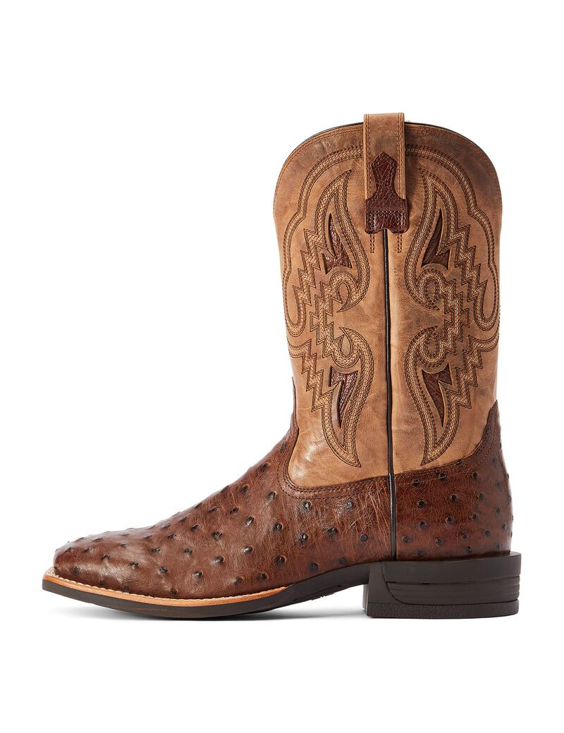 Ariat Dagger Western Boot Dark Tabac Full Quill Ostrich | ZUYJPL-720