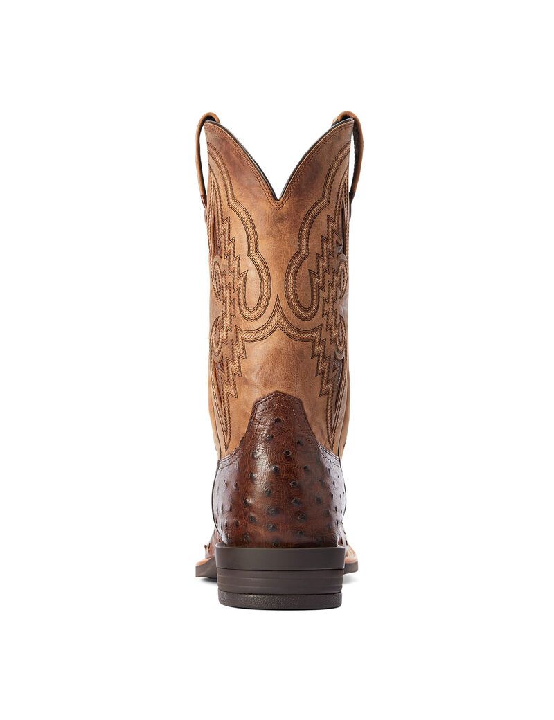 Ariat Dagger Western Boot Dark Tabac Full Quill Ostrich | ZUYJPL-720