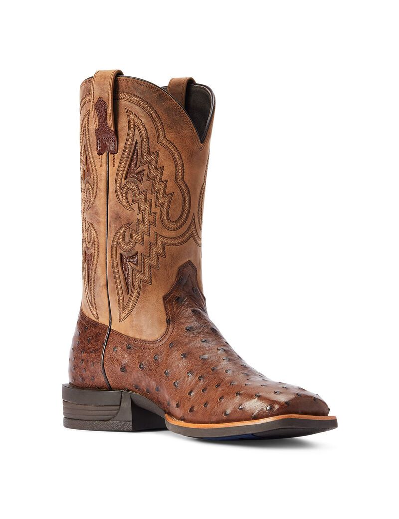 Ariat Dagger Western Boot Dark Tabac Full Quill Ostrich | ZUYJPL-720