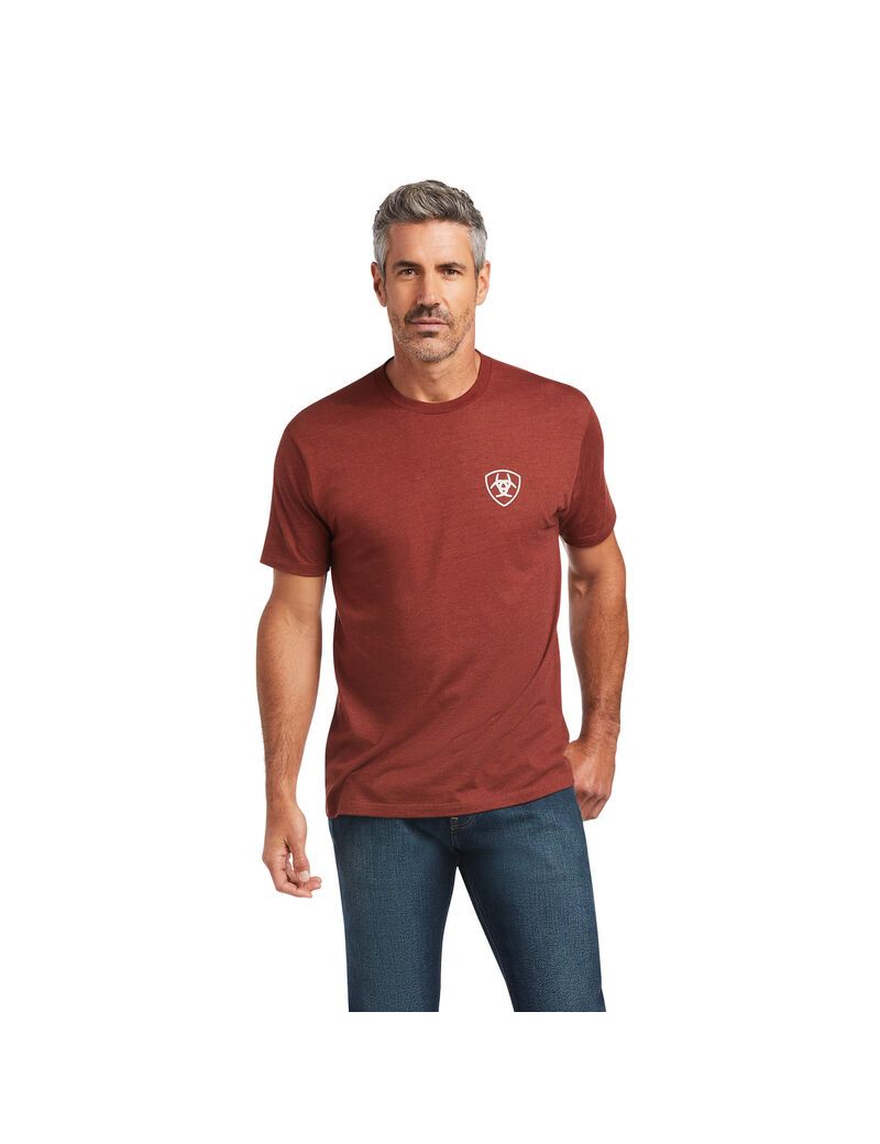 Ariat Farm T-Shirt Rust Heather | BXIAGK-187