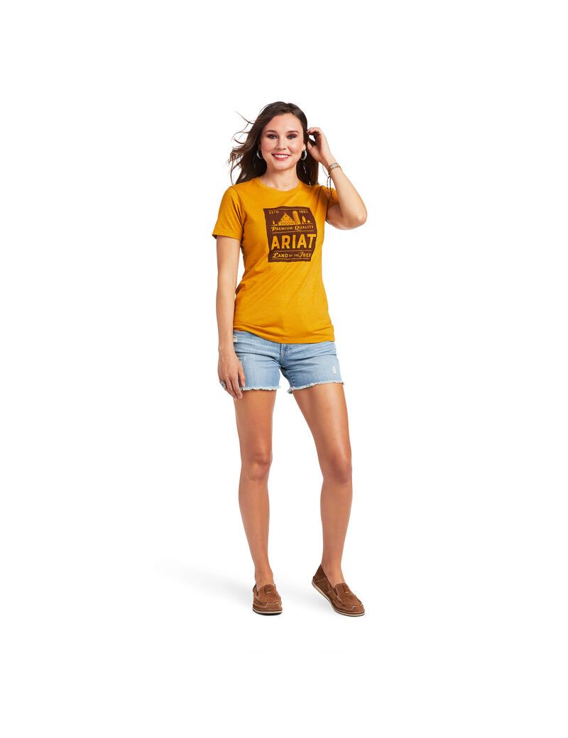 Ariat Farmland T-Shirt Buckhorn Heather | SYWUMJ-196