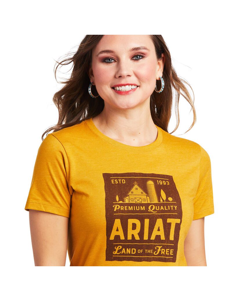 Ariat Farmland T-Shirt Buckhorn Heather | SYWUMJ-196