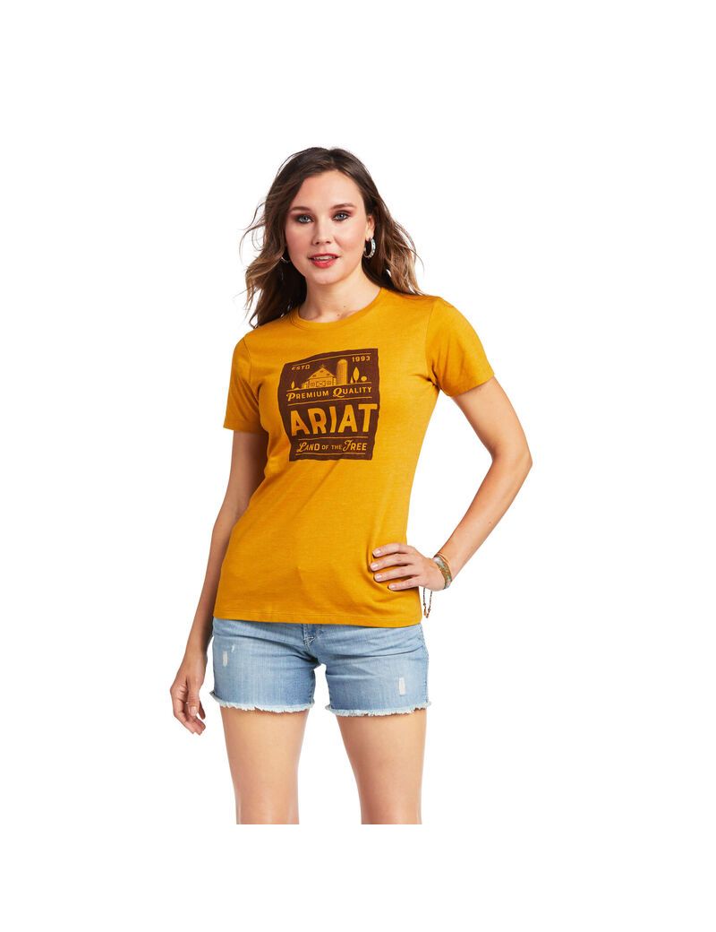 Ariat Farmland T-Shirt Buckhorn Heather | SYWUMJ-196