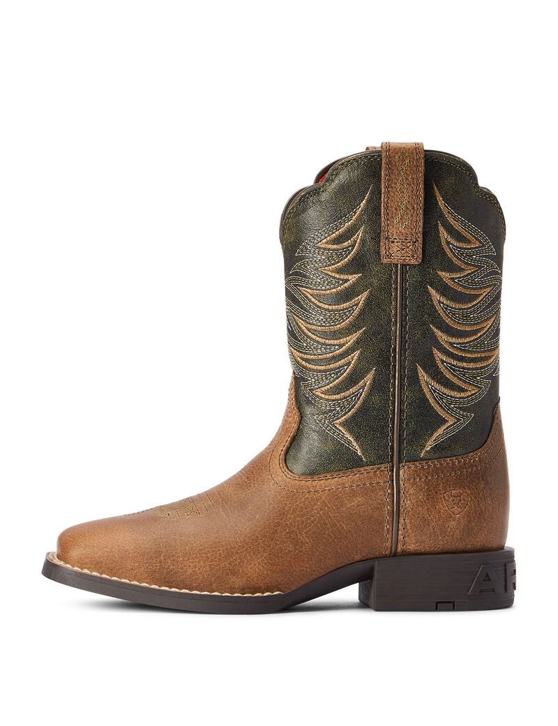 Ariat Firecatcher Western Boot Distressed Brown | IBOARD-762