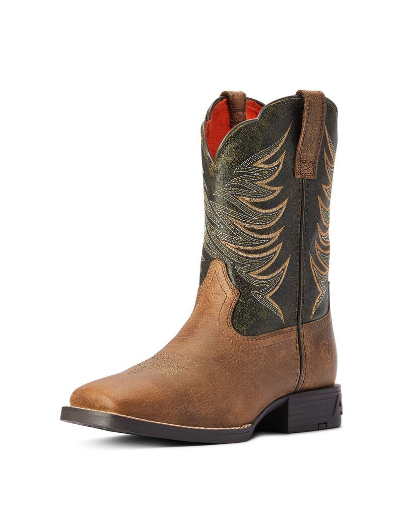 Ariat Firecatcher Western Boot Distressed Brown | IBOARD-762