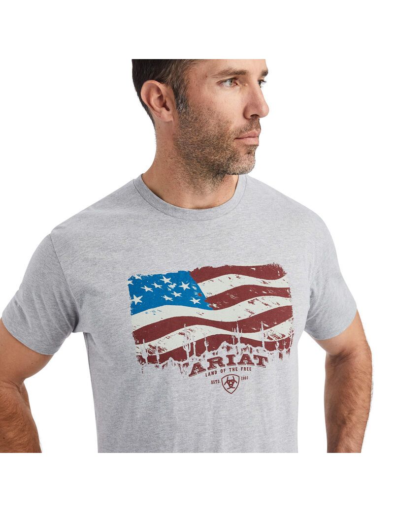 Ariat Flagscape T-Shirt Athletic Heather | BFOIVP-136