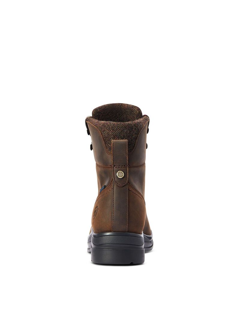 Ariat Harper Waterproof Boot Chocolate | IVYCTF-178