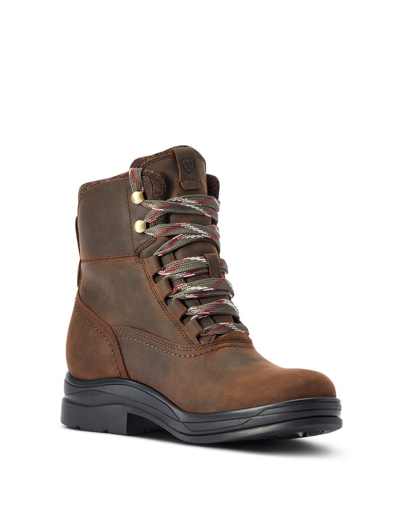 Ariat Harper Waterproof Boot Chocolate | IVYCTF-178