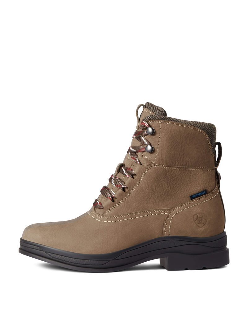 Ariat Harper Waterproof Boot Moss | DFUMLP-759