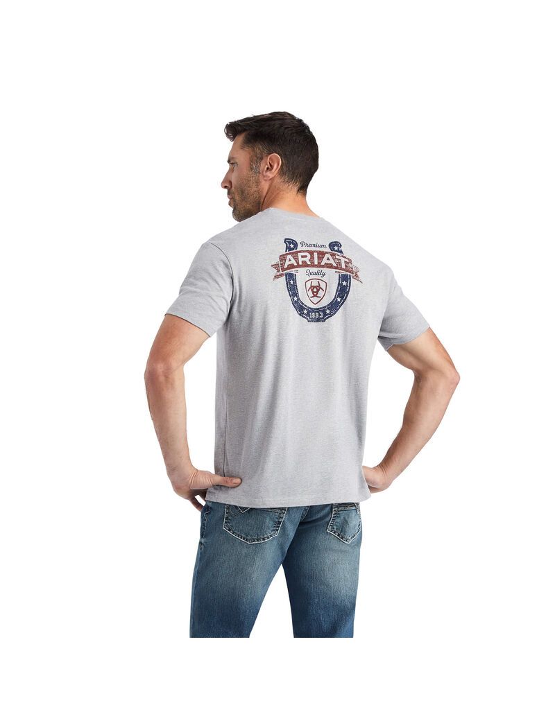 Ariat Lucky Horseshoe T-Shirt Grey Heather | OYWVZC-250