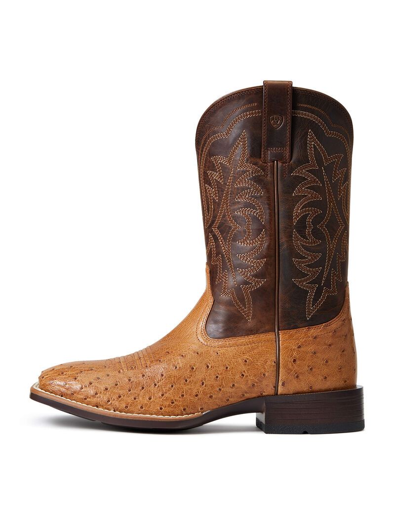 Ariat Night Life Ultra Western Boot Ranger Smooth Quill Ostrich | ZDPQJK-542