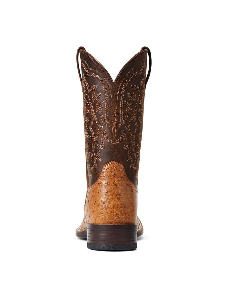 Ariat Night Life Ultra Western Boot Ranger Smooth Quill Ostrich | ZDPQJK-542