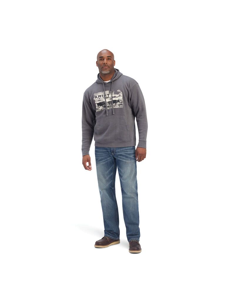 Ariat Pastures Sweatshirt Charcoal Heather | PGUBWQ-145