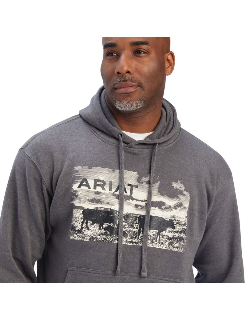 Ariat Pastures Sweatshirt Charcoal Heather | PGUBWQ-145