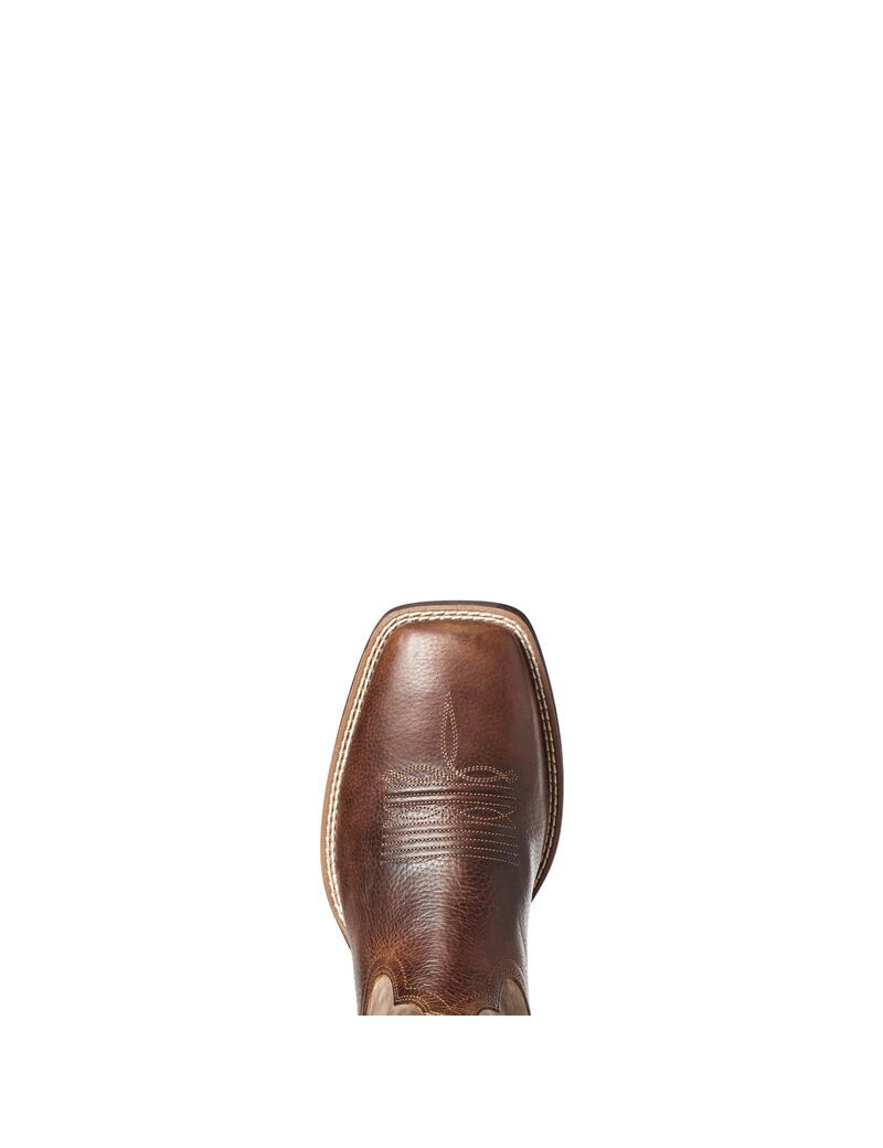 Ariat Qualifier Western Boot Champ Brown | LNCZJG-517