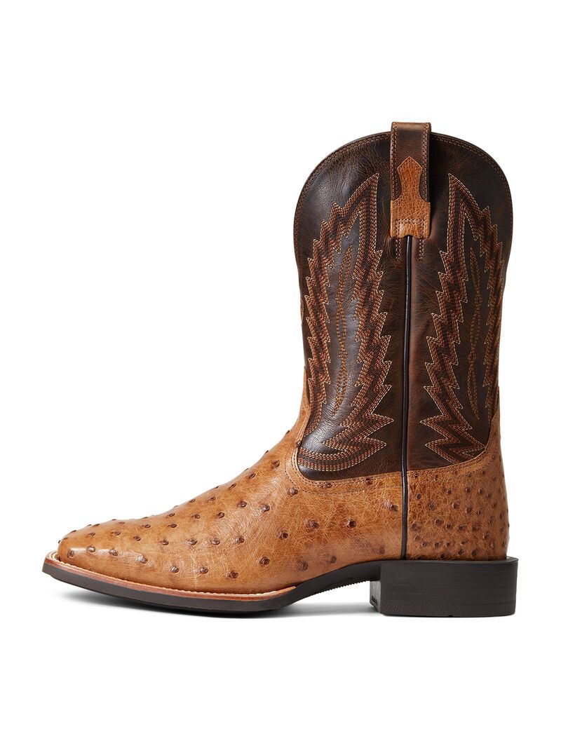 Ariat Quantum Primo Western Boot Ranger Full Quill Ostrich | BSMYAR-074