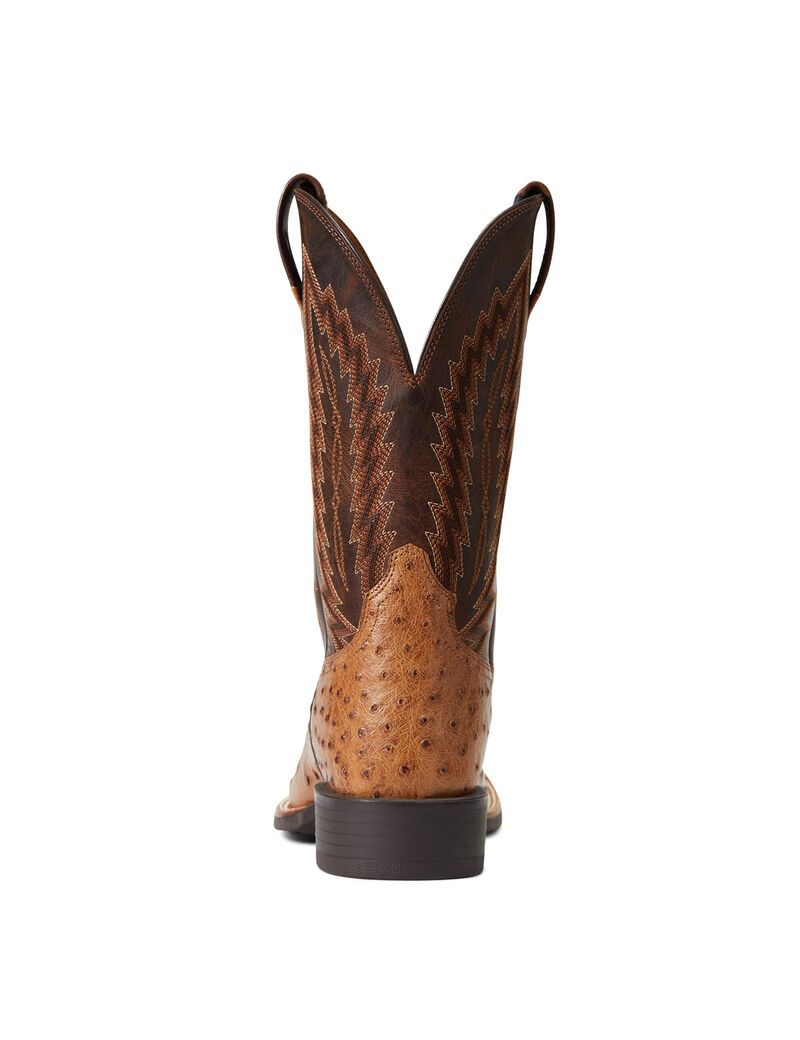 Ariat Quantum Primo Western Boot Ranger Full Quill Ostrich | BSMYAR-074