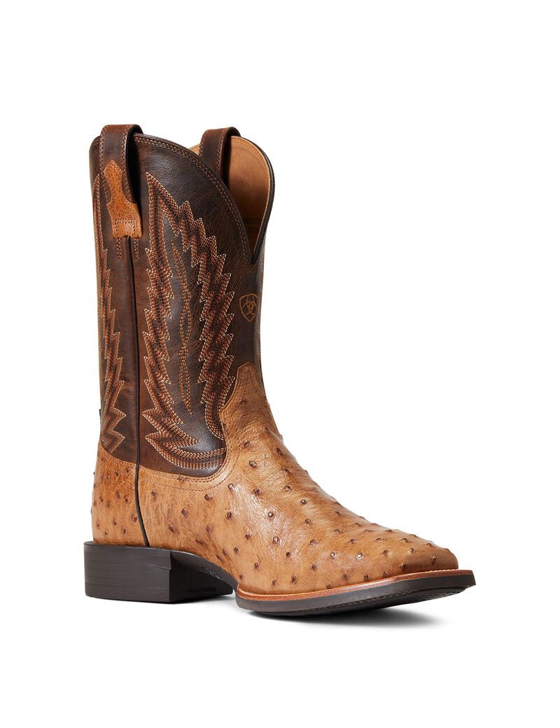 Ariat Quantum Primo Western Boot Ranger Full Quill Ostrich | BSMYAR-074