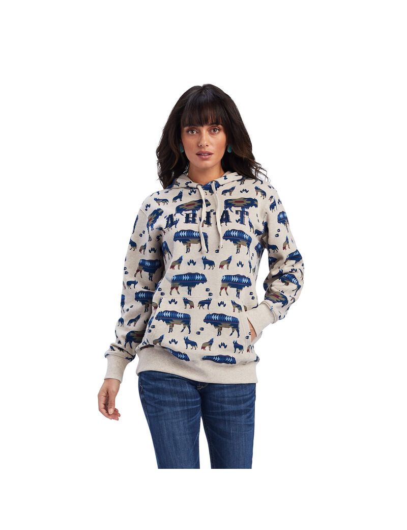 Ariat REAL Allover Print Hoodie Buffalo Border Print | FVECHY-416