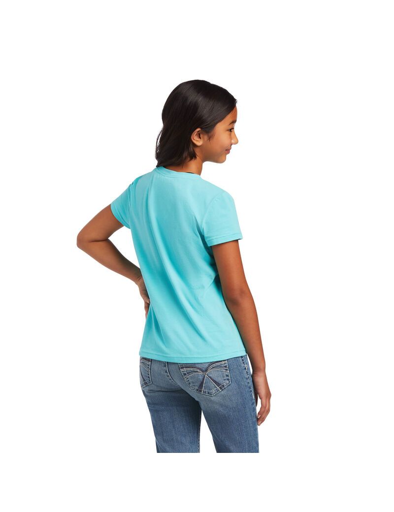 Ariat REAL Cactus Tee Amazonite | EOYISR-035