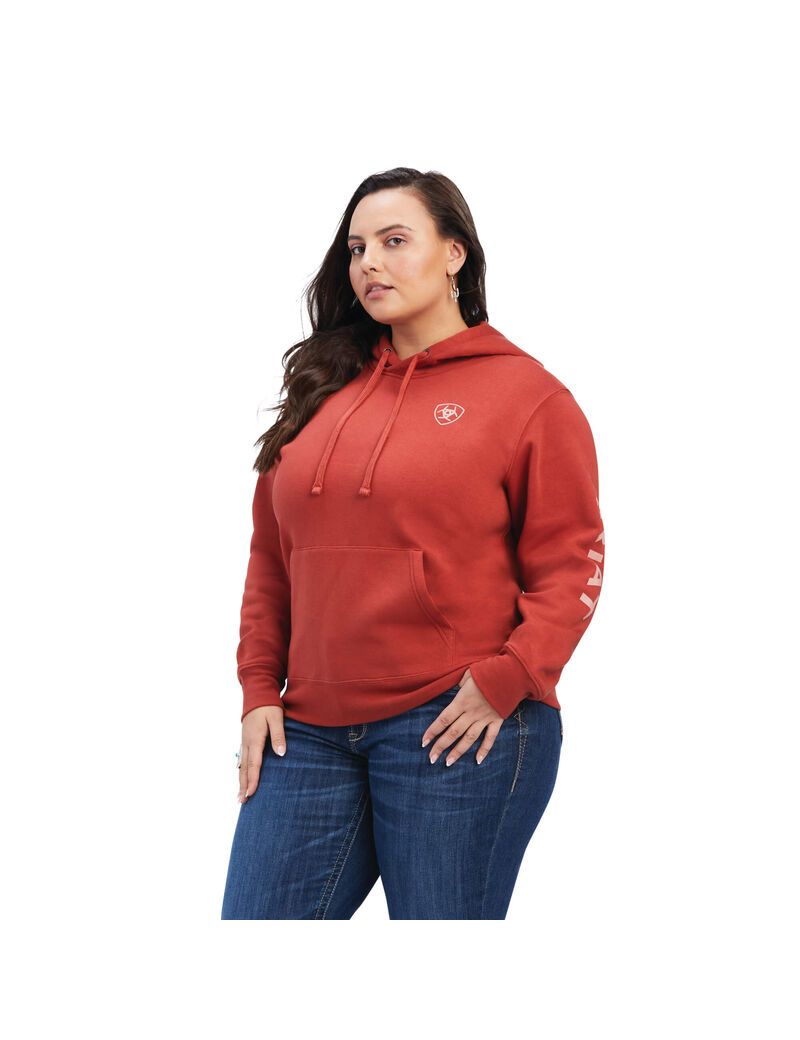 Ariat REAL Classic Arm Logo Hoodie Bossa Nova | CHXRQN-907