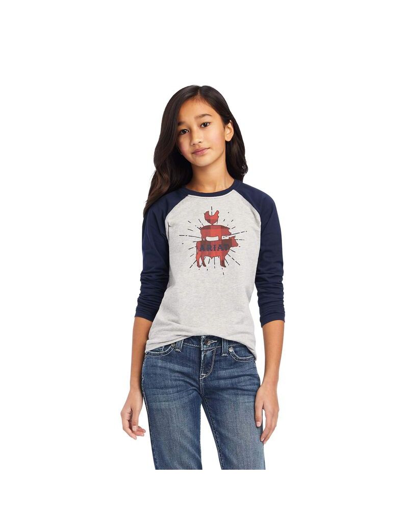 Ariat REAL Farm Shirt Heather Grey/Navy Eclipse | ZVOCAT-528