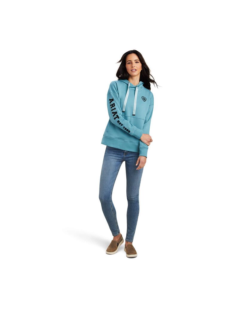 Ariat Rabere Hoodie Arctic Heather | ICYOEF-583