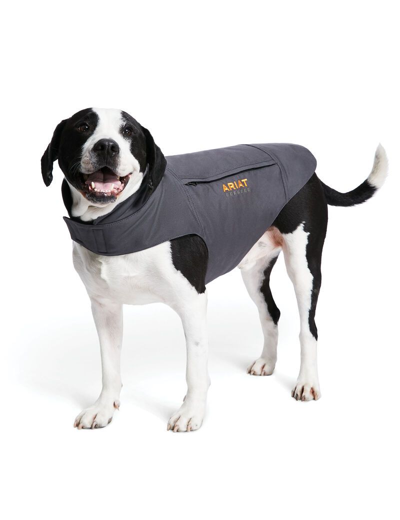 Ariat Rebar DuraCanvas Insulated Dog Jackets Rebar Gray | MGAIBT-234