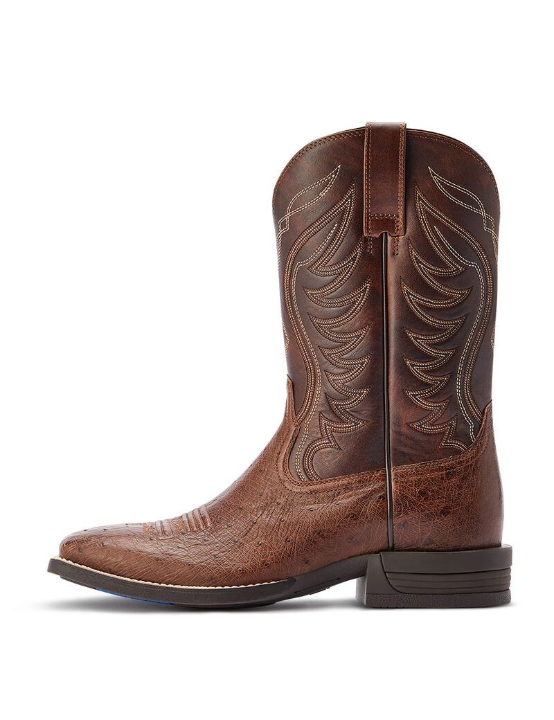 Ariat Reckoning Western Boot Dark Tabac Smooth Quill Ostric | ACMRPD-987