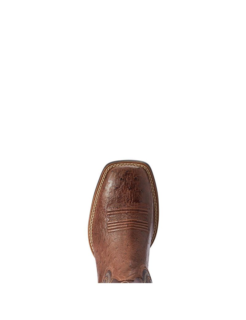 Ariat Reckoning Western Boot Dark Tabac Smooth Quill Ostric | ACMRPD-987