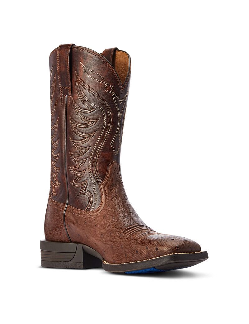 Ariat Reckoning Western Boot Dark Tabac Smooth Quill Ostric | ACMRPD-987