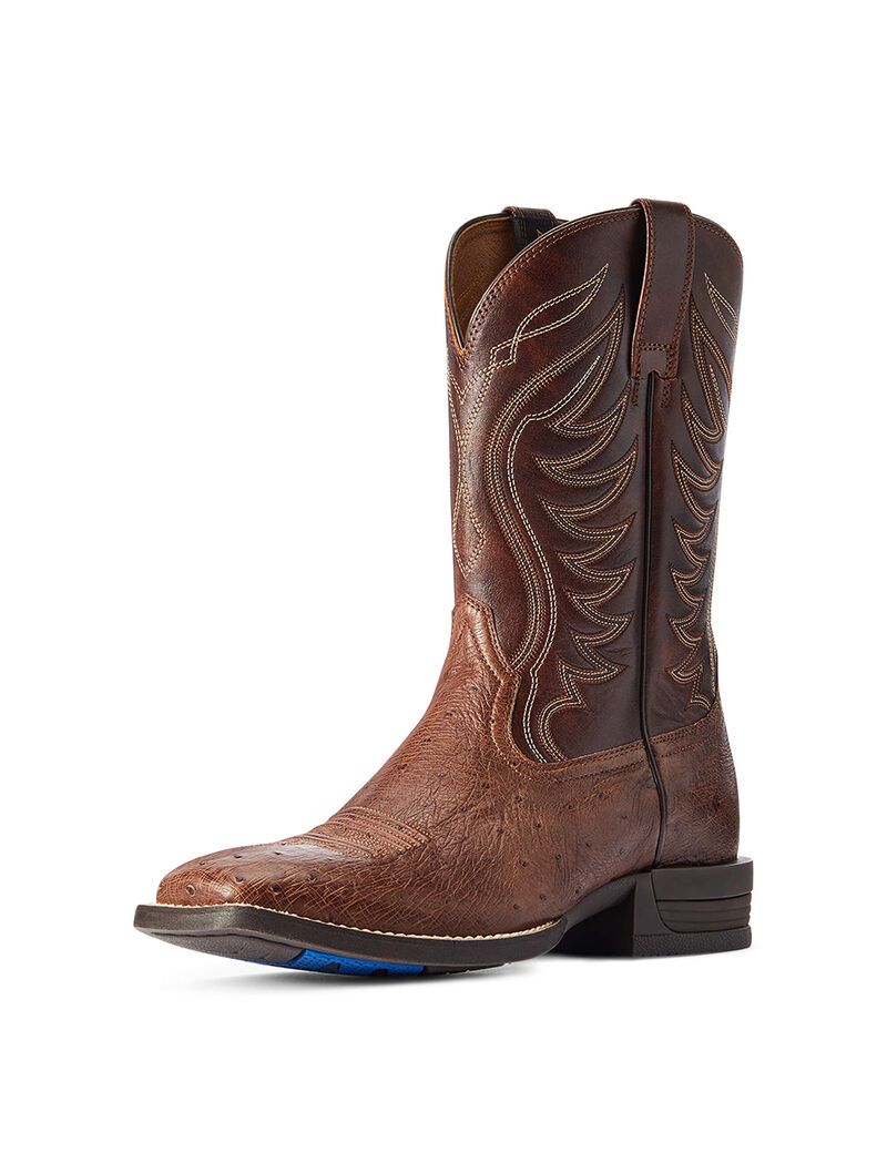 Ariat Reckoning Western Boot Dark Tabac Smooth Quill Ostric | ACMRPD-987