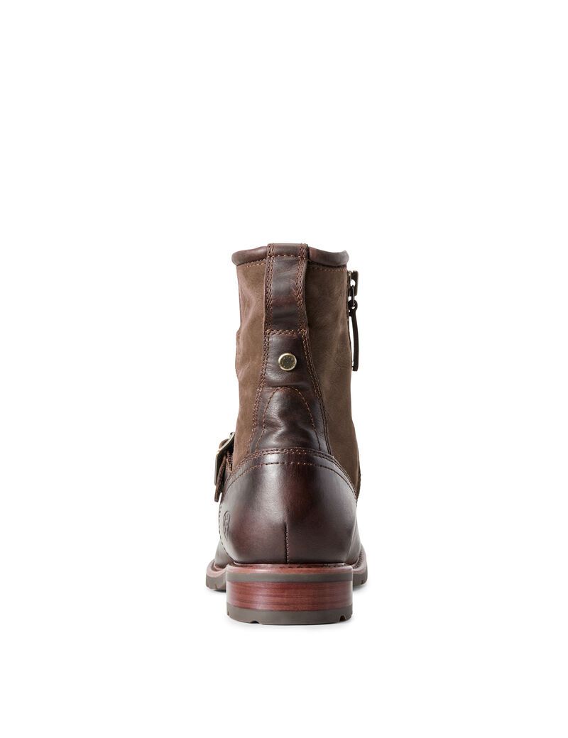 Ariat Savannah Waterproof Boot Chocolate/Willow | VRTLHJ-894