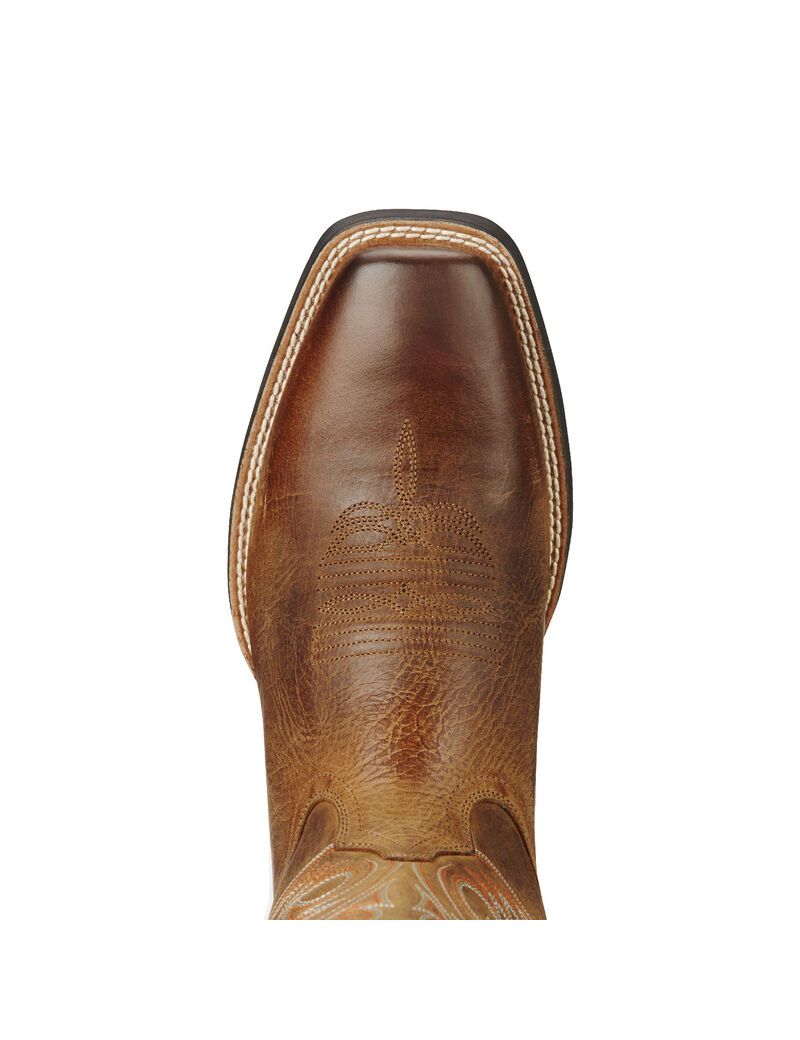 Ariat Sport Herdsman Western Boot Powder Brown | NSEKOH-150