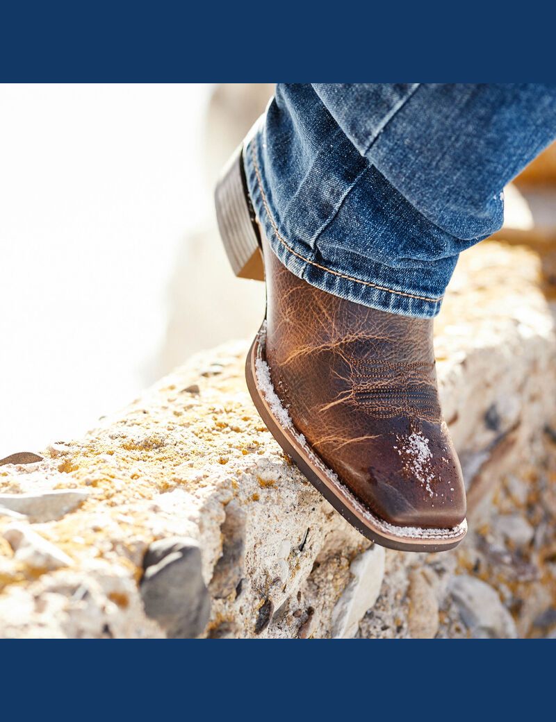 Ariat Sport Knockout Western Boot Dark Whiskey | SDKBZA-305