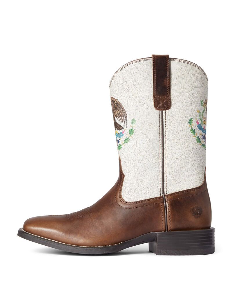 Ariat Sport Orgullo Mexicano Western Boot Chocolate | ZHQJSM-538