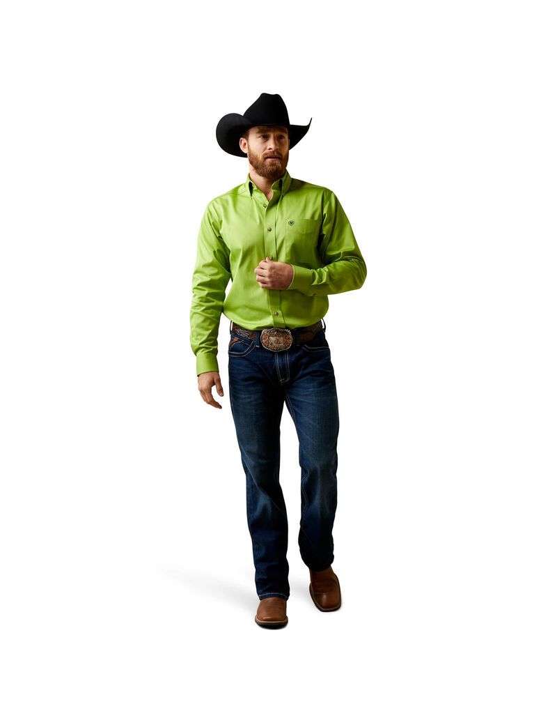 Ariat Team Logo Twill Fitted Shirt Macaw Green | BFRYAI-497