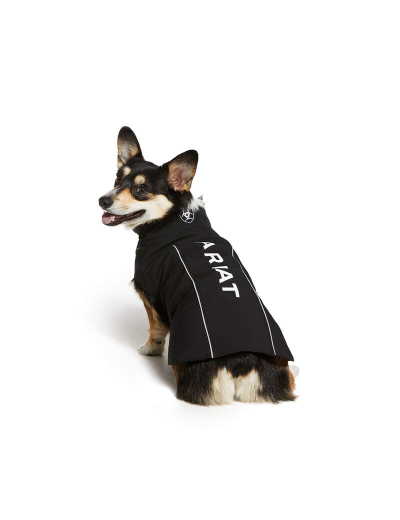 Ariat Team Softshell Dog Jackets Black | LMUASF-057