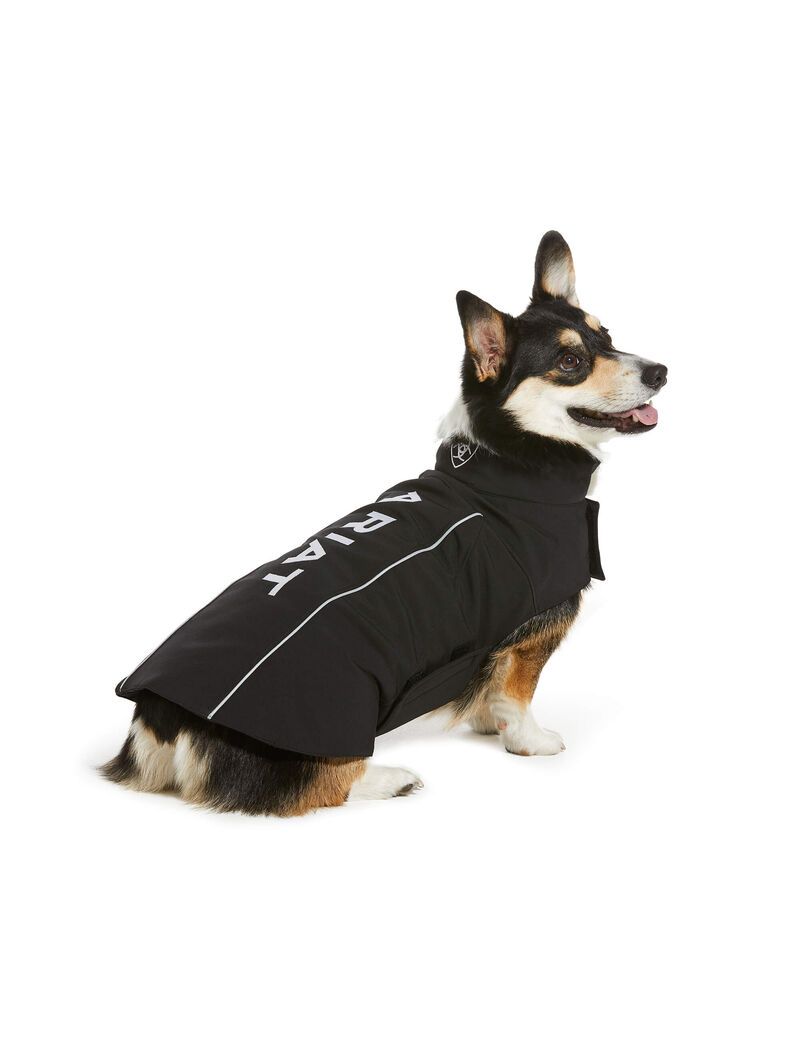 Ariat Team Softshell Dog Jackets Black | LMUASF-057