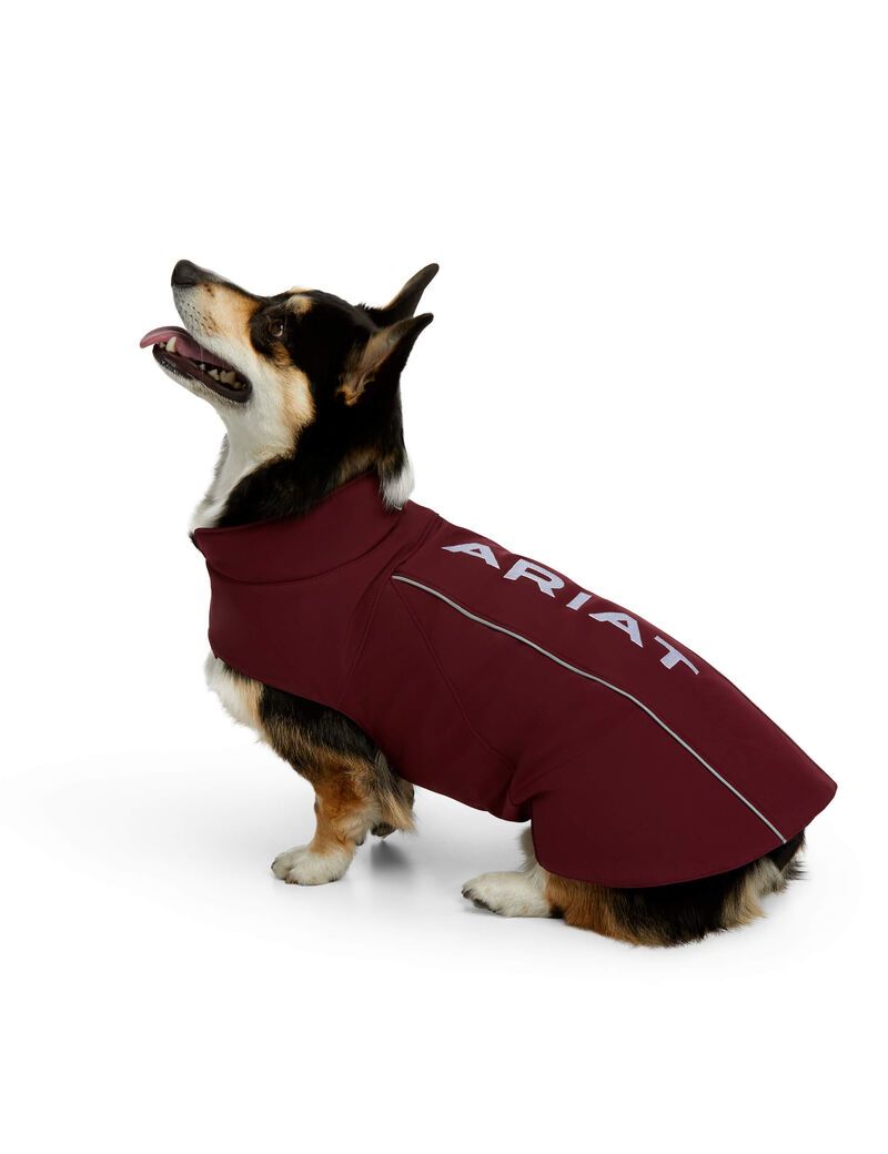 Ariat Team Softshell Dog Jackets Windsor Wine | PNJIVK-478