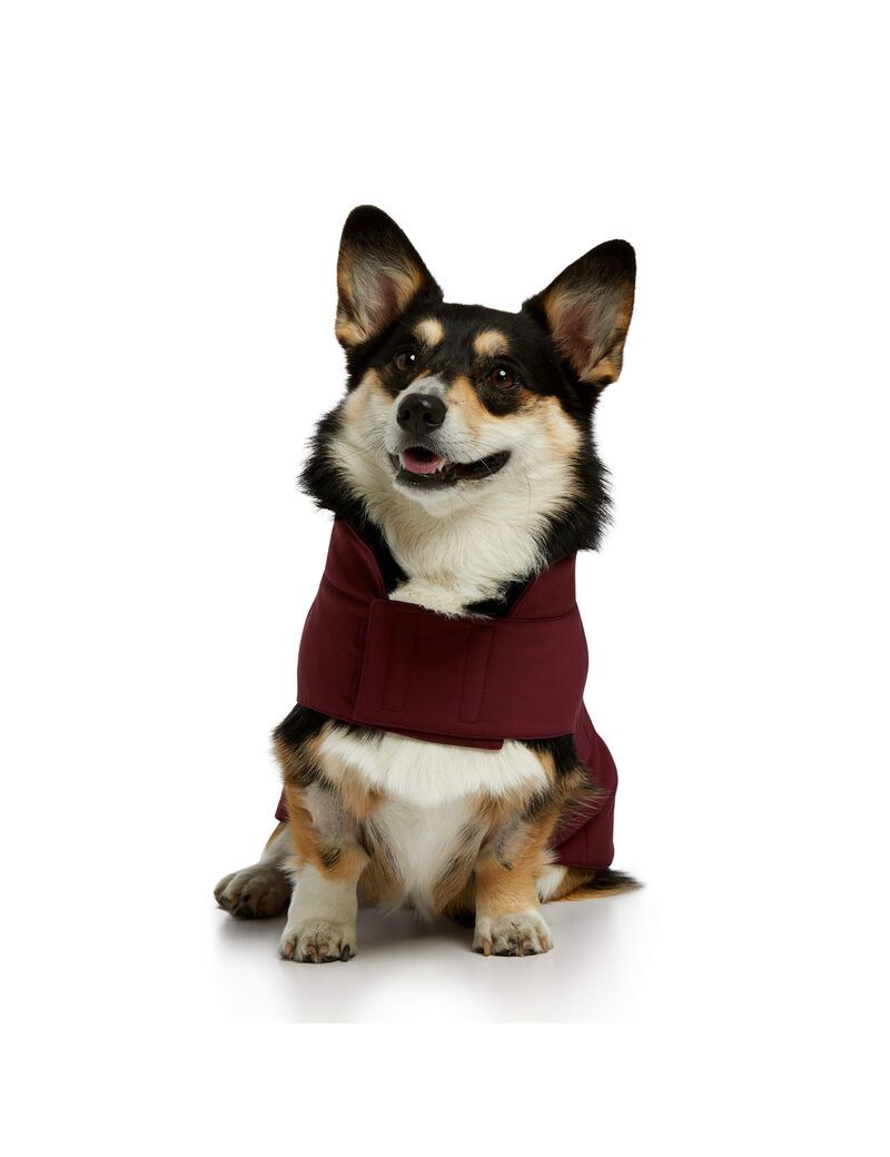 Ariat Team Softshell Dog Jackets Windsor Wine | PNJIVK-478