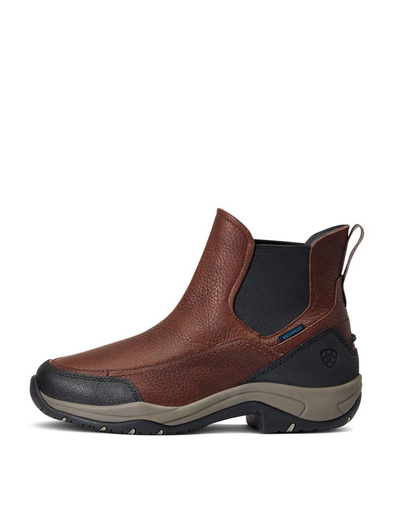 Ariat Terrain Blaze Waterproof Boot Dark Brown | WJBZPU-984