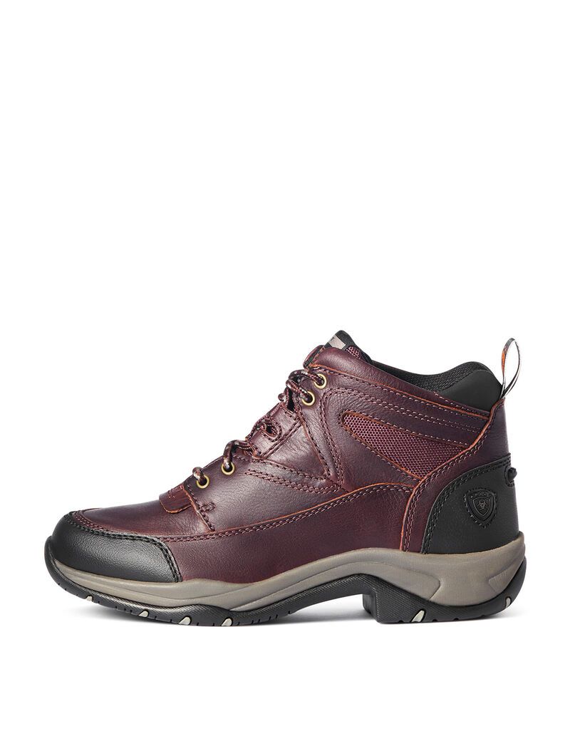 Ariat Terrain Boot Cordovan | DKBIHE-873